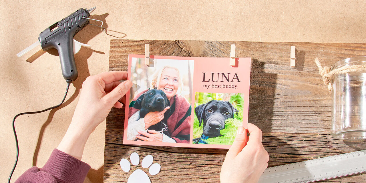 Una persona crea un collage fotografico affettuoso con immagini del suo cane Luna.